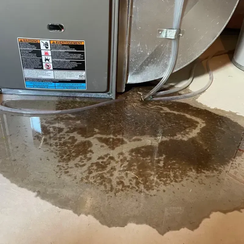 Appliance Leak Cleanup in Brazil, IN